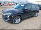 CHEVROLET TRAILBLAZER LS KL79MMSL5RB169262 снимка