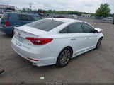 Hyundai Sonata Sport 5NPE34AF3HH462087 снимка