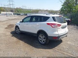FORD ESCAPE TITANIUM 1FMCU0JX1EUD66283 fotografie