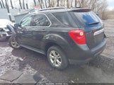 CHEVROLET EQUINOX 1LT 2GNALBEK5F6402637 снимка