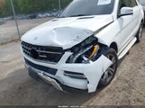 MERCEDES-BENZ ML 350 4MATIC 4JGDA5HB2FA445193 снимка