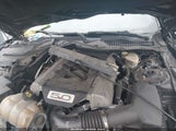 Ford Mustang Gt Premium 1FA6P8CF3H5345094 снимка