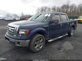 FORD F-150 KING RANCH/LARIAT/PLATINUM/XL/XLT 1FTPW12V59FA18709 photo