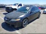 ACURA TSX JH4CL96957C021979 снимка