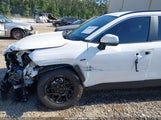 TOYOTA RAV4 XLE 2T3W1RFV7SC316459 снимка