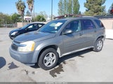 CHEVROLET EQUINOX LS 2CNDL13F656160747 снимка