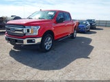 FORD F-150 XLT 1FTEW1EP9KKC67483 снимка