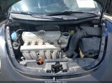 VOLKSWAGEN NEW BEETLE S 3VWPW31C38M505088 снимка