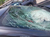 BMW X5 XDRIVE35D 5UXZW0C55CL666799 снимка