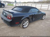 FORD MUSTANG GT/GT PREMIUM 1ZVHT85H795119586 fotografie