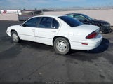 CHEVROLET LUMINA LS 2G1WL52M4V9123059 снимка