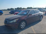 HONDA ACCORD 2.4 EX-L 1HGCP2F83AA196093 снимка