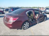 HONDA ACCORD 2.4 EX-L 1HGCP2F83AA196093 снимка