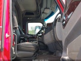 Miniaturka zdjęcia 8