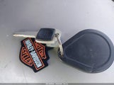 HARLEY-DAVIDSON FXLRS 1HD1YWZ1XNB059644 снимка