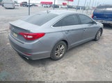 HYUNDAI SONATA 5NPE24AF1HH443556 снимка