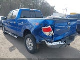 FORD F-150 FX4/HARLEY-DAVIDSON/KING RANCH/LARIAT/PLATINUM/XL/XLT 1FTFW1EV3AFC73225 снимка