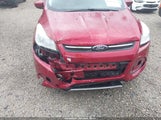 FORD ESCAPE SE 1FMCU0GXXDUB14120 снимка