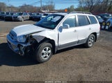 HYUNDAI SANTA FE GLS KM8SC13D26U041246 снимка