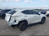 LEXUS NX 250 JTJADCAZ1S2022956 снимка
