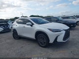LEXUS NX 250 JTJADCAZ1S2022956 снимка