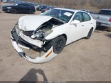 LEXUS ES 330 JTHBA30G865156205 снимка
