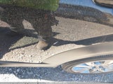 MAZDA CX-30 2.5 S PREFERRED 3MVDMBCM1PM509987 снимка