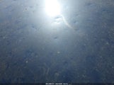 TOYOTA COROLLA LE 2T1BURHE4GC603048 снимка