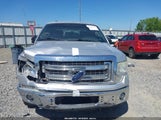 FORD F-150 XLT 1FTFW1CT6DFB79927 снимка