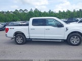 FORD F-150 XLT 1FTFW1E52NFB50568 снимка