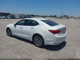 ACURA TLX TECH PKG 19UUB1F52KA006384 снимка