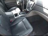 CADILLAC SRX LUXURY COLLECTION 3GYFNAEY2BS674379 снимка