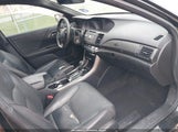 HONDA ACCORD SPORT SE 1HGCR2F19HA263495 photo