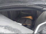 AUDI S5 3.0T PREMIUM PLUS WAU24GF50JN020503 снимка