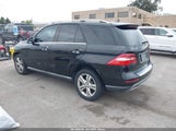 MERCEDES-BENZ ML 350 4JGDA5JB9EA408134 снимка