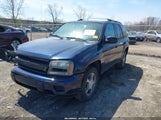 CHEVROLET TRAILBLAZER FLEET 1GNDT13S082194080 снимка