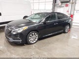 HYUNDAI SONATA SPORT 5NPE34AF2FH221022 photo