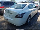 NISSAN MAXIMA 3.5 S/3.5 SV 1N4AA5AP3EC487524 снимка