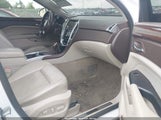 CADILLAC SRX LUXURY COLLECTION 3GYFNBE36ES519705 снимка