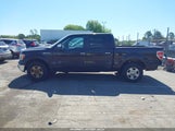 FORD F-150 XLT 1FTFW1CF5EKD93147 снимка