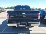 FORD F-150 XLT 1FTFW1CF5EKD93147 снимка