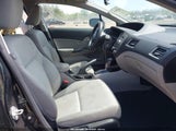 HONDA CIVIC LX 19XFB2F55FE074310 fotografie