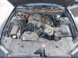 FORD MUSTANG V6 PREMIUM 1ZVBP8AM7E5277711 photo