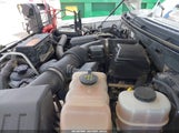 Ford F-150 Fx4/Harley-Davidson/King Ranch/Lariat/Platinum/Xl/Xlt 1FTFW1EV9AFA43298 fotografie
