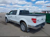 Ford F-150 Fx4/Harley-Davidson/King Ranch/Lariat/Platinum/Xl/Xlt 1FTFW1EV9AFA43298 fotografie