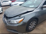NISSAN ALTIMA 2.5/2.5 S/2.5 SL/2.5 SR/2.5 SV 1N4AL3AP5GC169244 fotografie