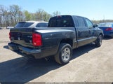 DODGE DAKOTA SLT 1D7HW48P67S199991 снимка