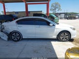 HONDA ACCORD LX 1HGCR2F36DA191134 снимка