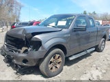 FORD F-150 STX 1FTFX1EFXDFD87216 снимка