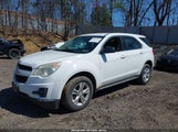 CHEVROLET EQUINOX LS 2GNFLCEK9C6101442 fotografie